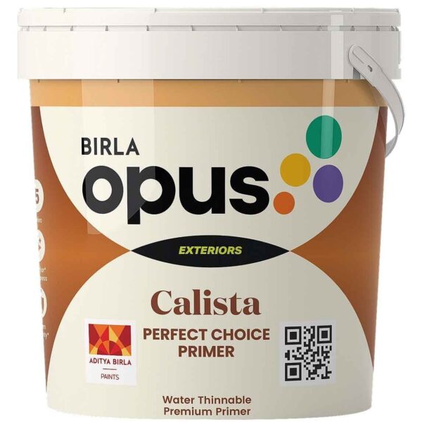 Birla Opus Calista Perfect Choice Primer