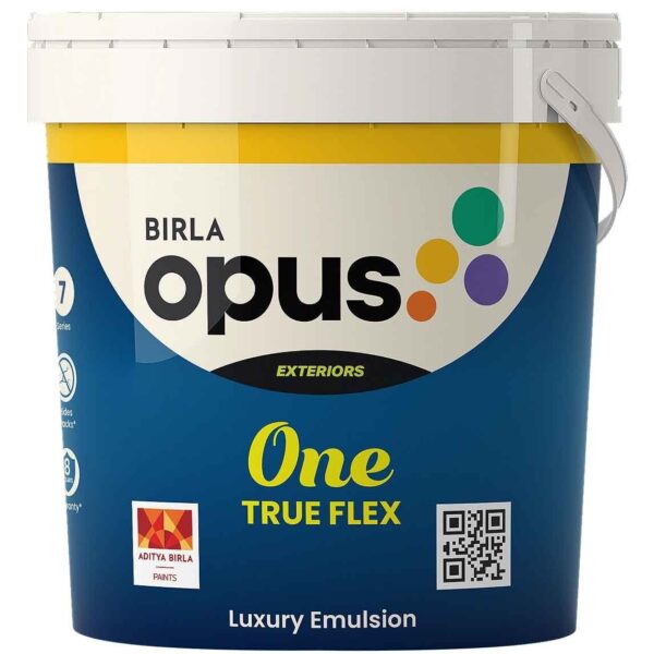Birla Opus One True Flex Paint