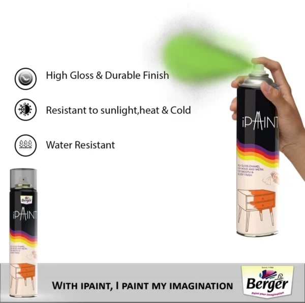 Berger Spray Paints, 400 ML (Mint Green)