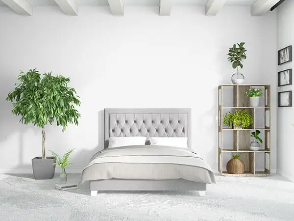 PrimaCoat - Interior Wall Primer