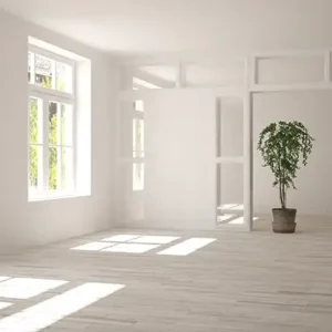 Birla White Ever-White Cement Wash