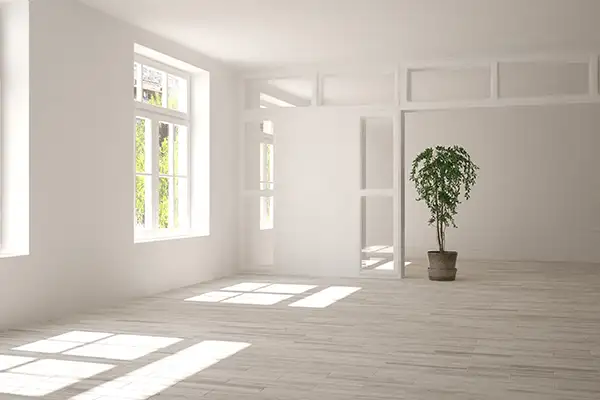 Birla White Ever-White Cement Wash