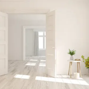 Birla White Ever-White Cement Wash