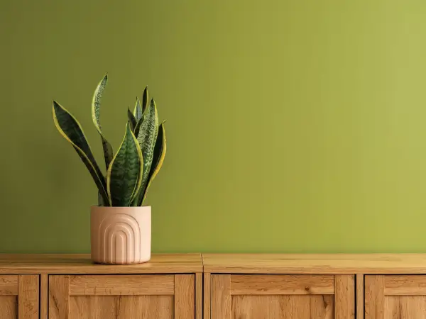 Seep Guard Crack End