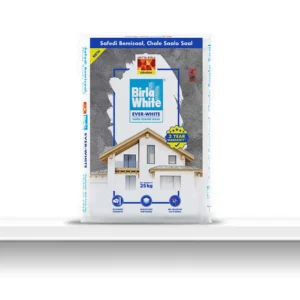 Birla White Ever-White Cement Wash