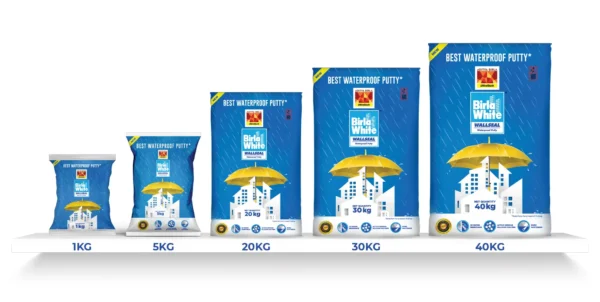 WallSeal Waterproof Putty