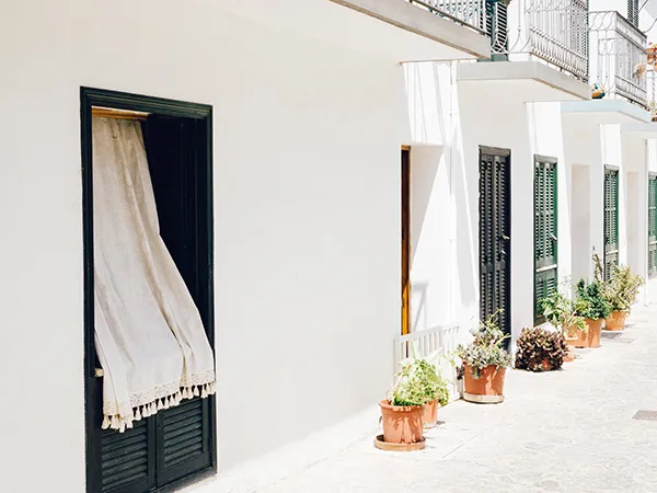 Seep Guard Vertical Surfaces