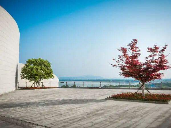 Seep Guard Seep Blocker Pro 2K