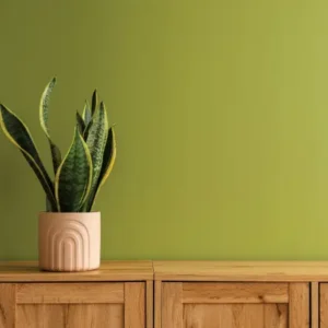 Seep Guard Crack End