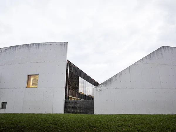 Seep Guard Vertical Surfaces